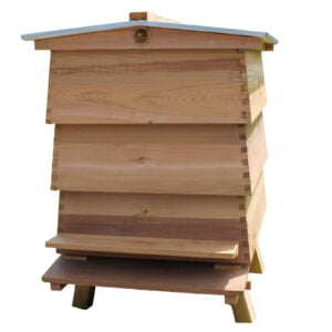 WBC Hive